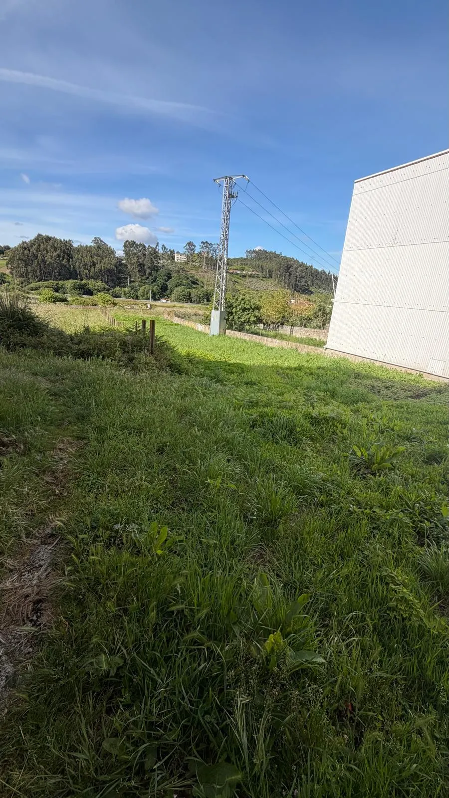 Zona verde de la finca
